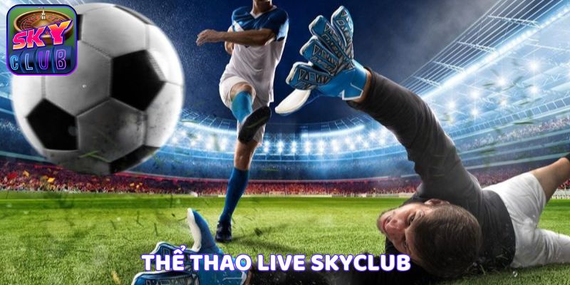 Thể Thao